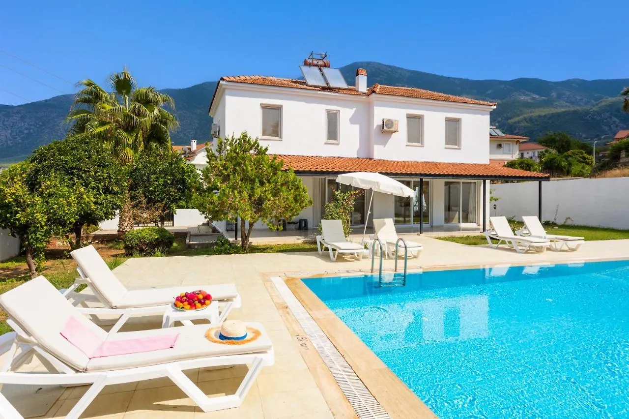 Villa Oliv Олудениз