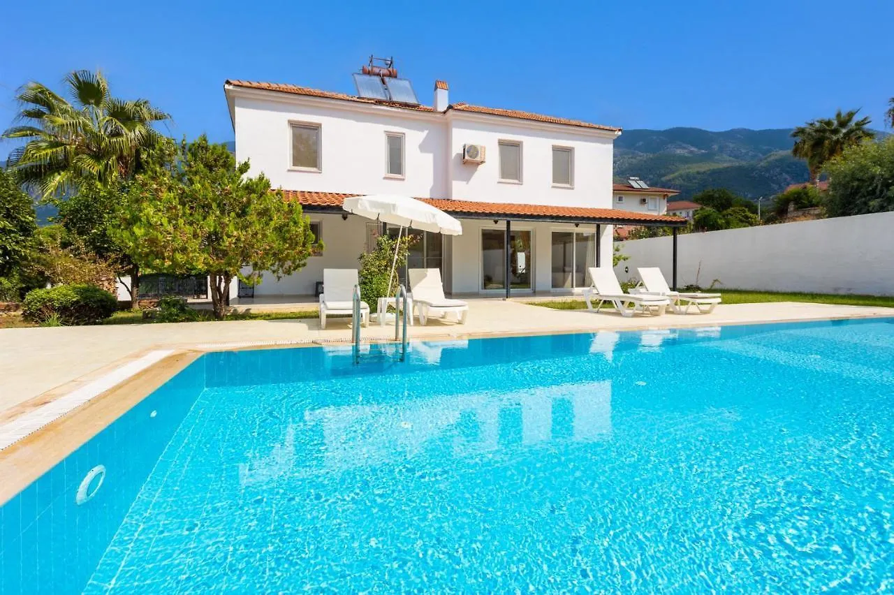Villa Oliv Олудениз